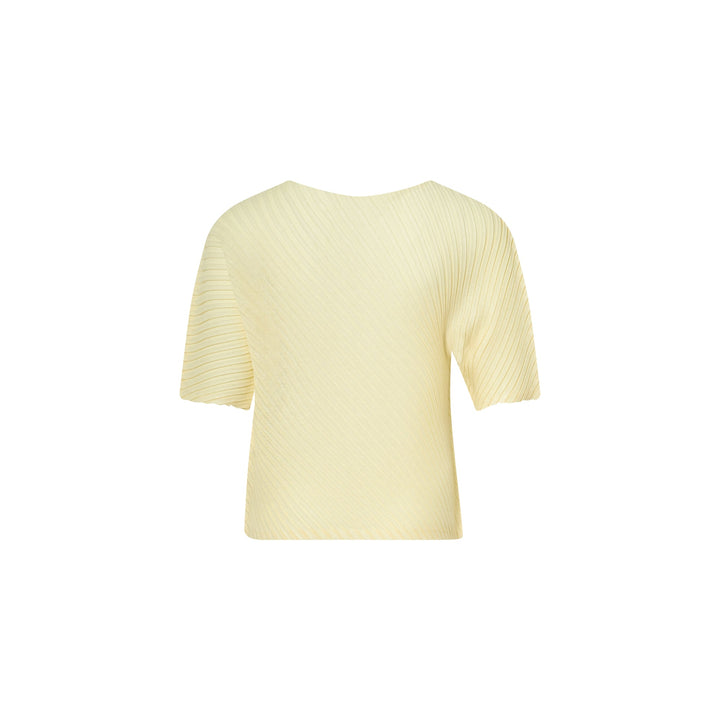 Sheer Linen Like Pleats Top