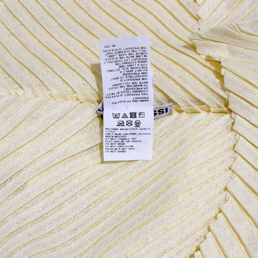 Sheer Linen Like Pleats Top
