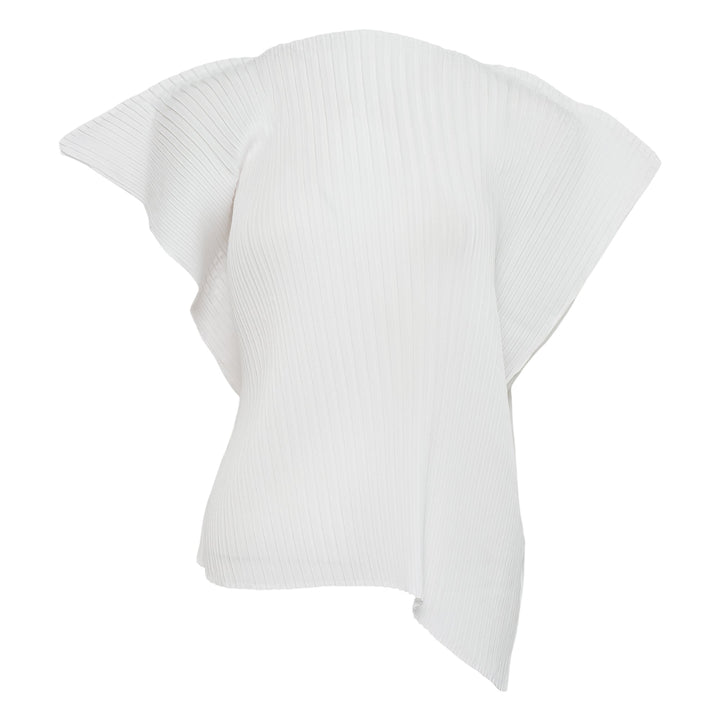 Shadow Study Pleats Solid Top