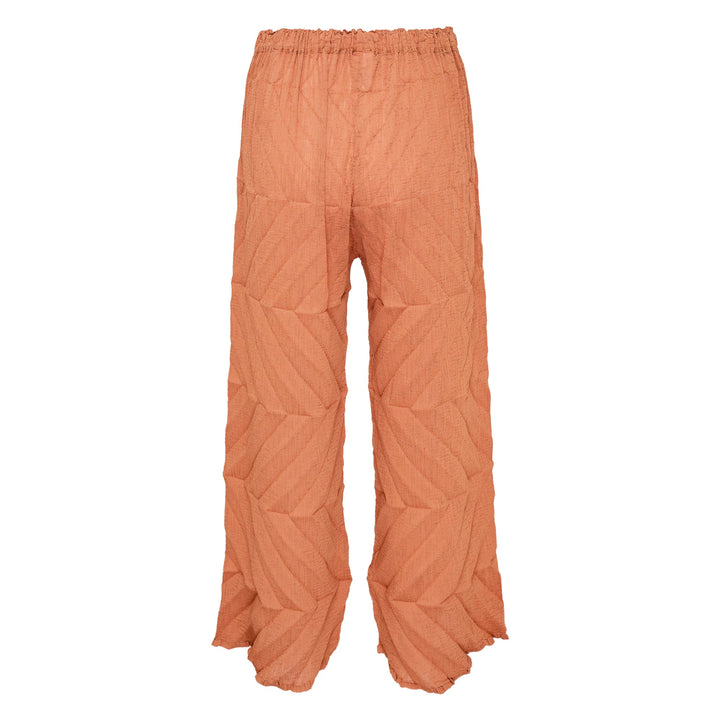Zig Zag See-Through Crepe Pants