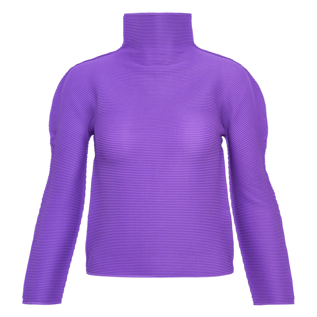 Stretch Pleats Long Sleeve High Neck Top