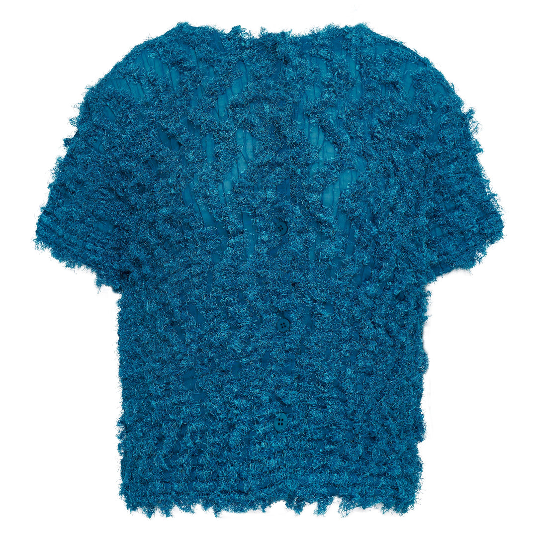 Shaggy Pleats Top