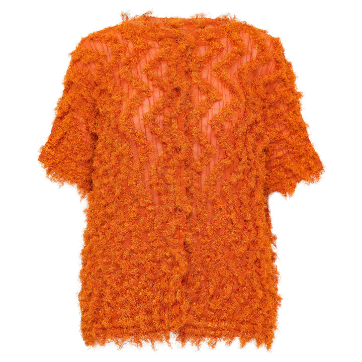 Shaggy Pleats Top