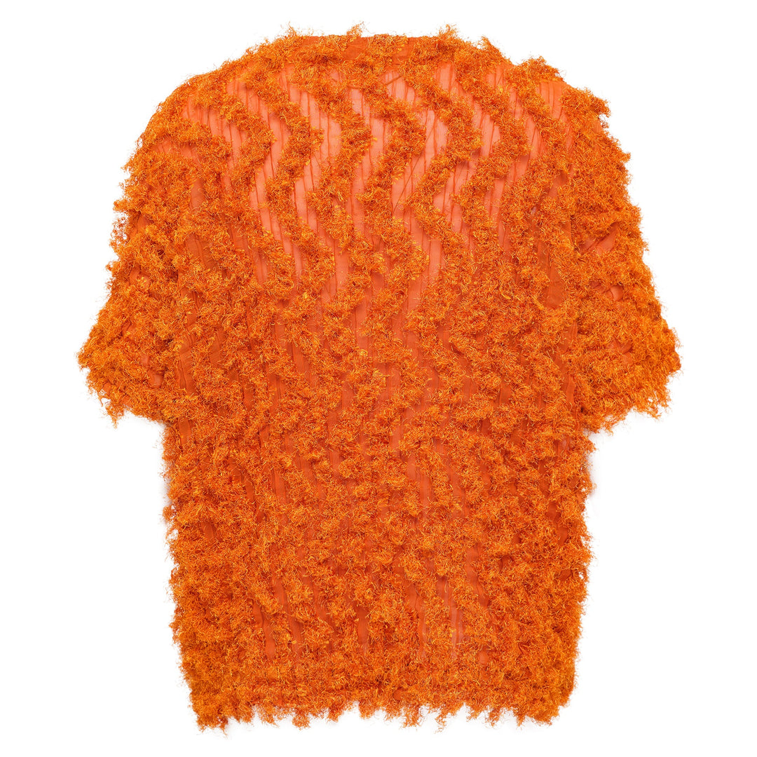 Shaggy Pleats Top