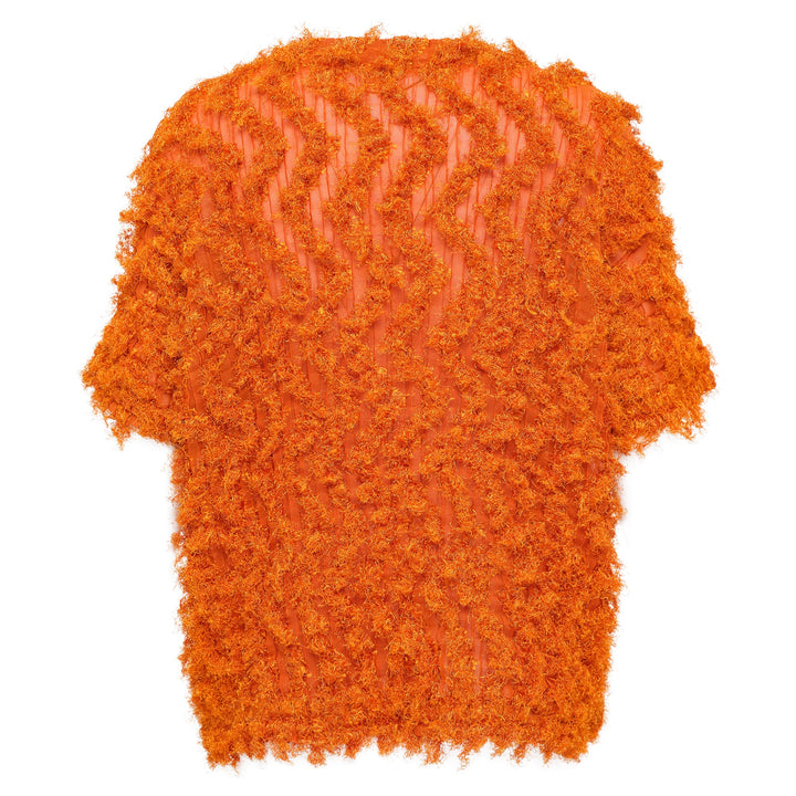 Shaggy Pleats Top