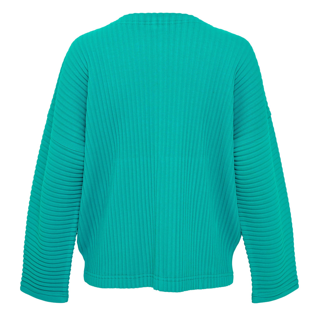 Sweats Pleats Blouson
