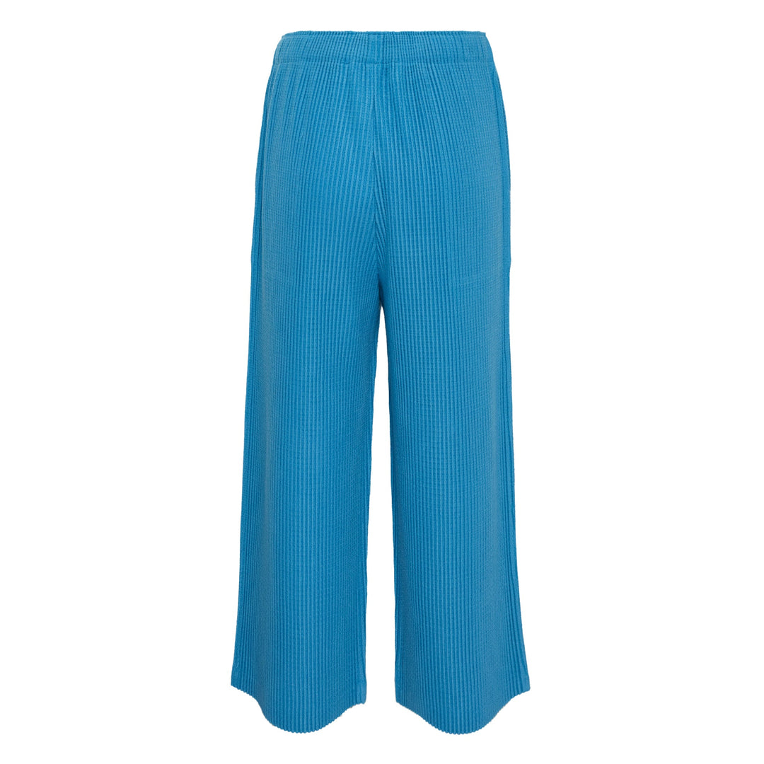 Warm Pleats Pants