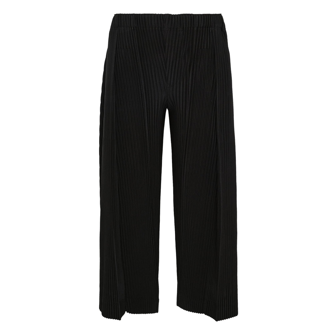 Pleats Bottoms 2 Pants
