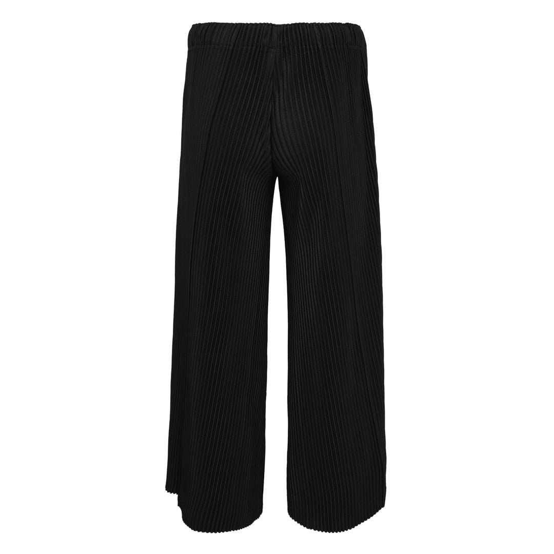 Pleats Bottoms 2 Pants