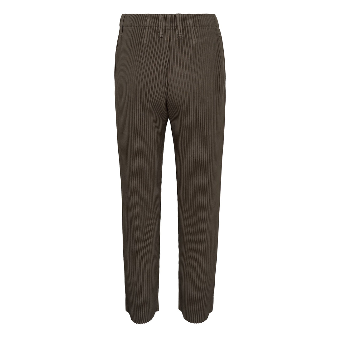 Tailored Pleats 2 Pants