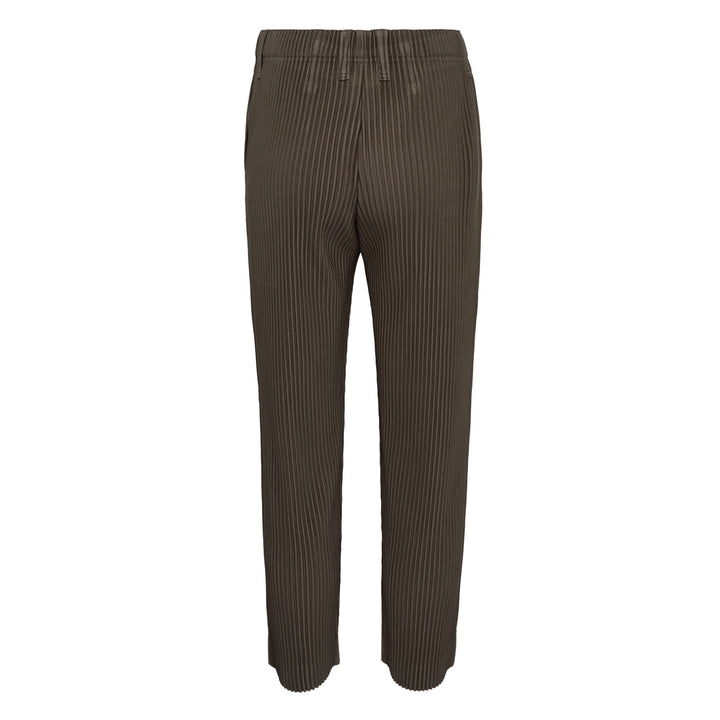 Tailored Pleats 2 Pants