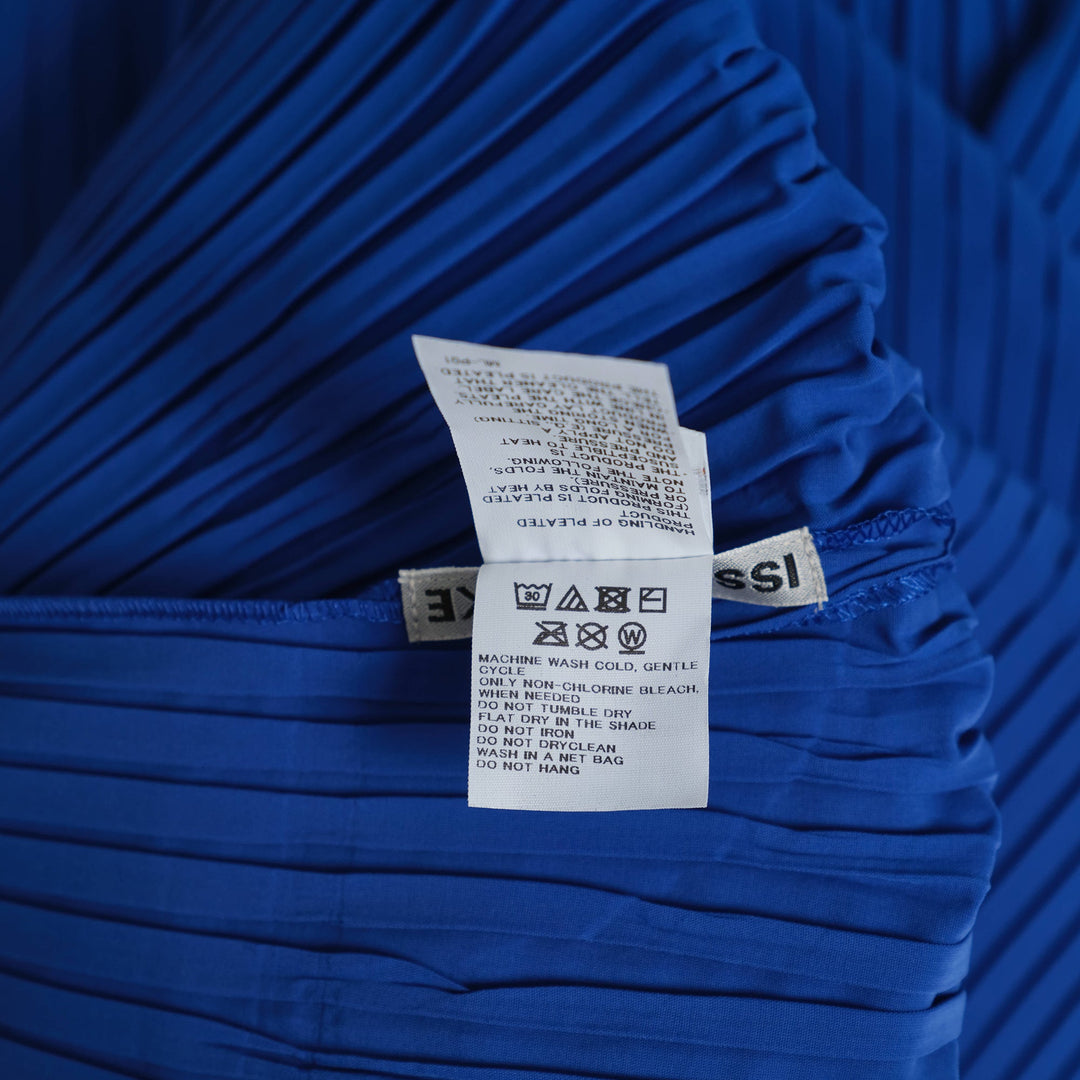 Fold Pleats Pleated Dress