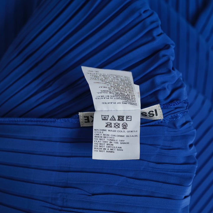 Fold Pleats Pleated Dress