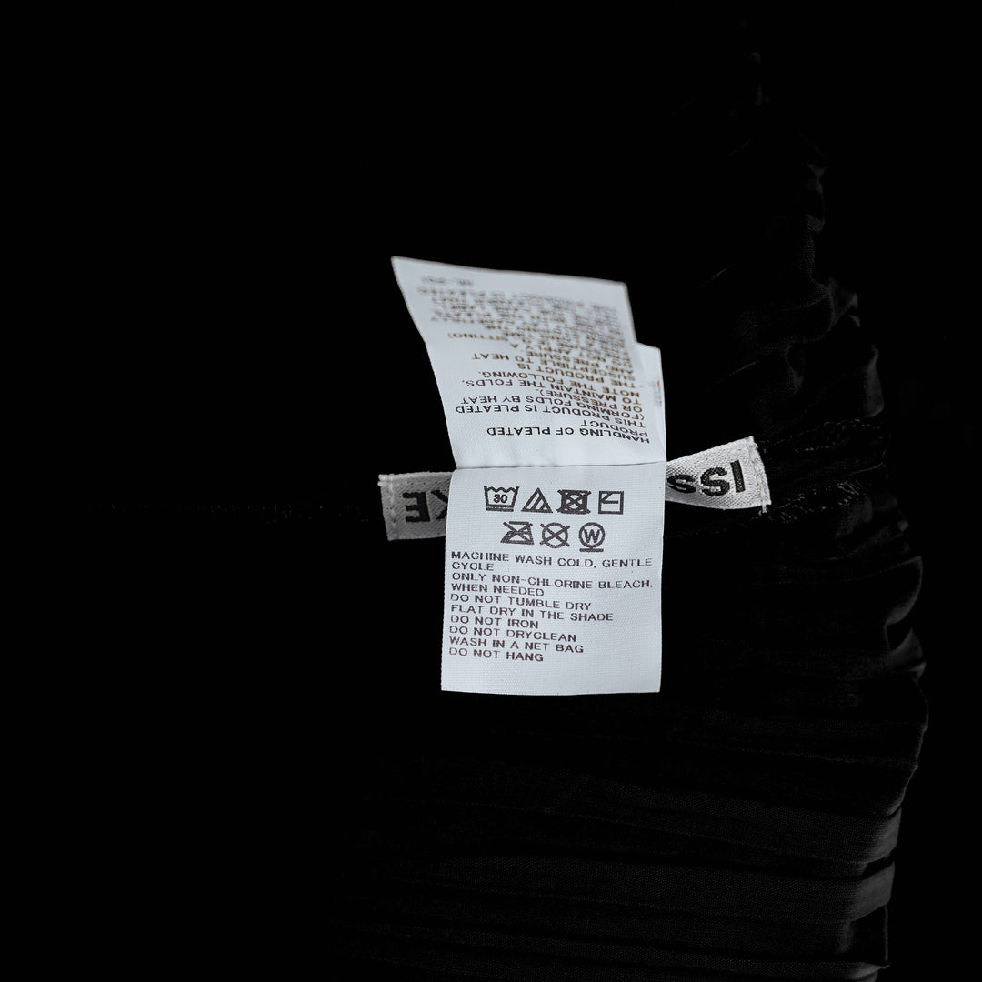 Fold Pleats Pleated Dress