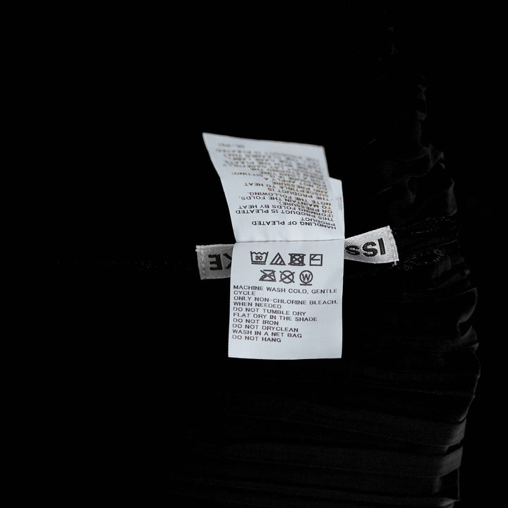 Fold Pleats Pleated Dress