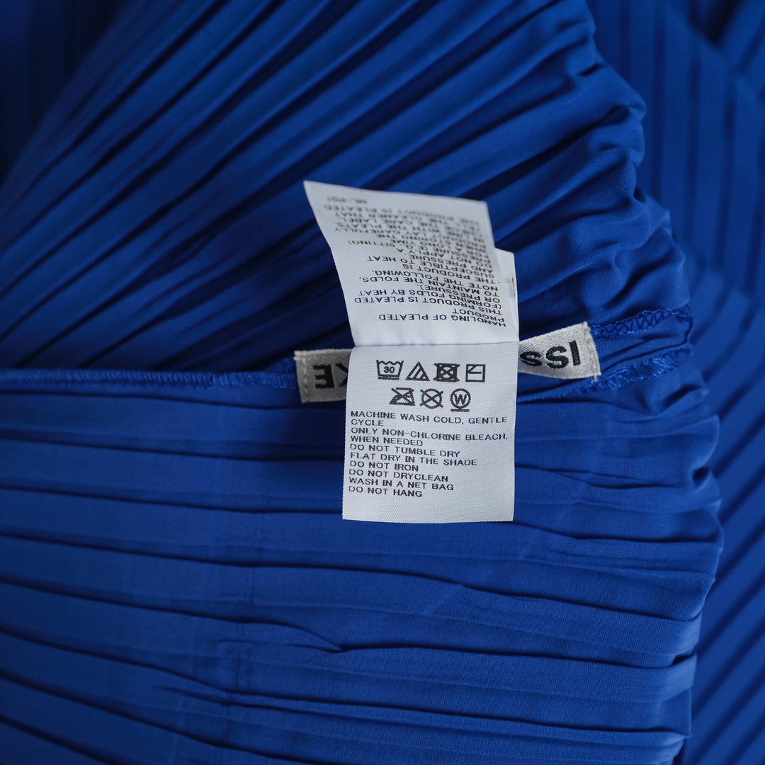 Fold Pleats Pleated Dress