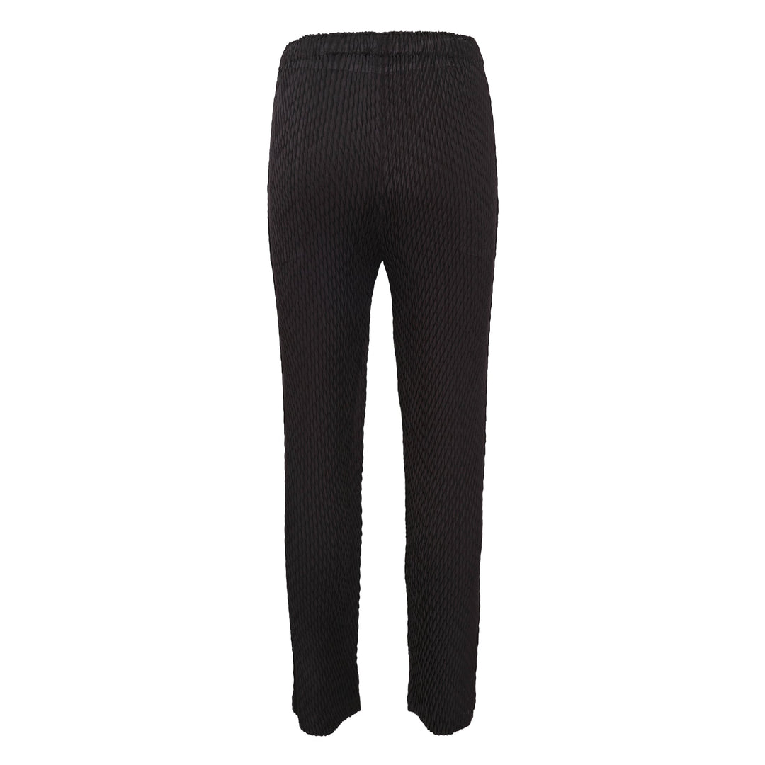 Sleek Pleats Pleated Pants