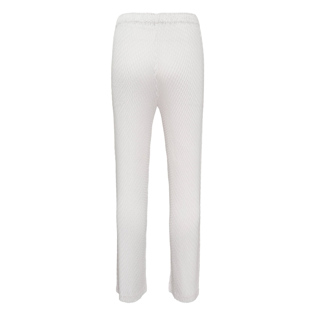 Sleek Pleats Pleated Pants