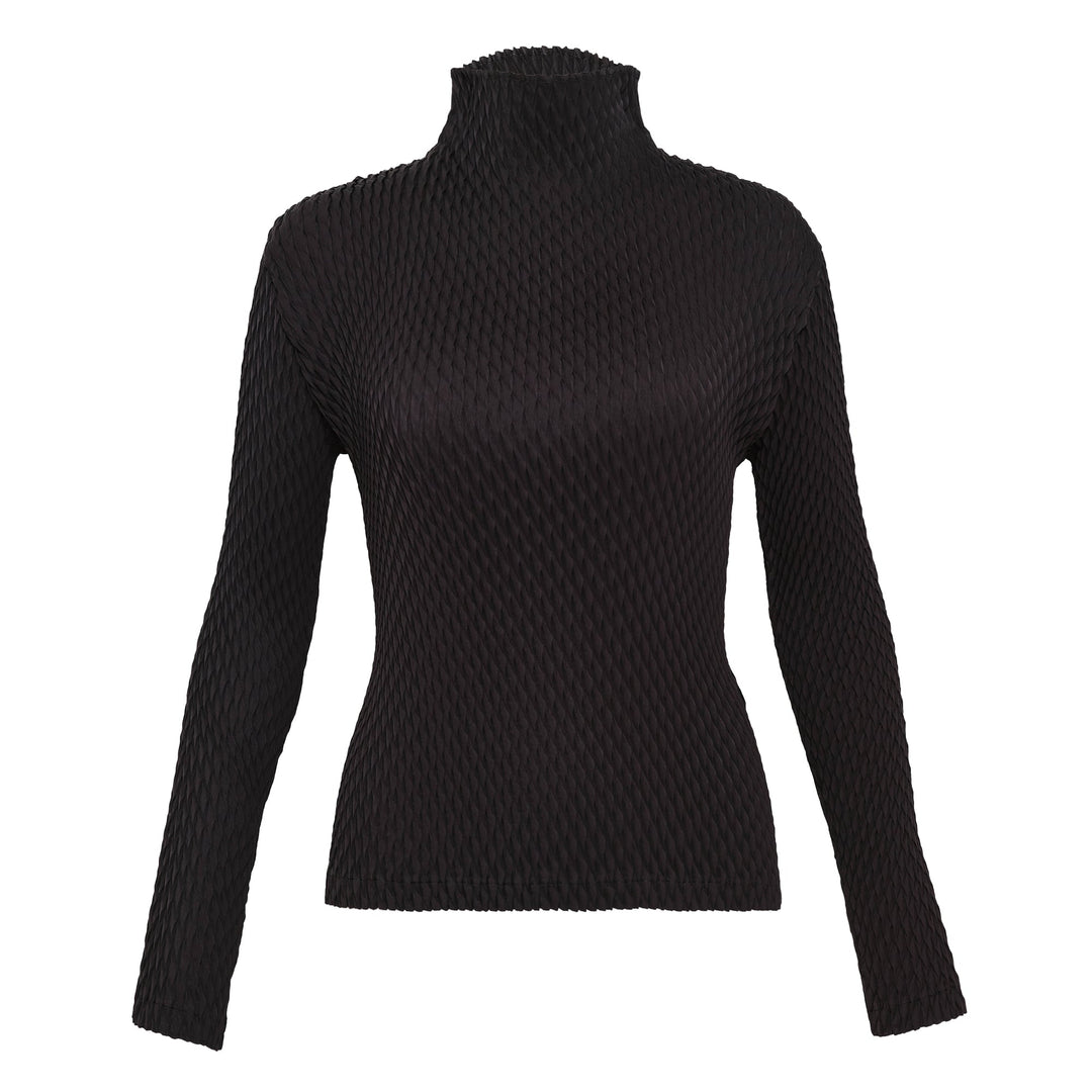 Sleek Pleats Pleated Top