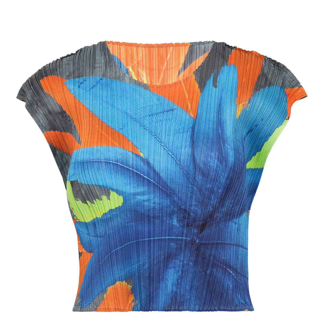 Carnival Crop Top