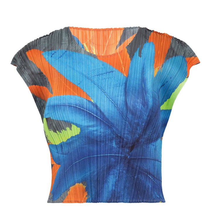 Carnival Crop Top