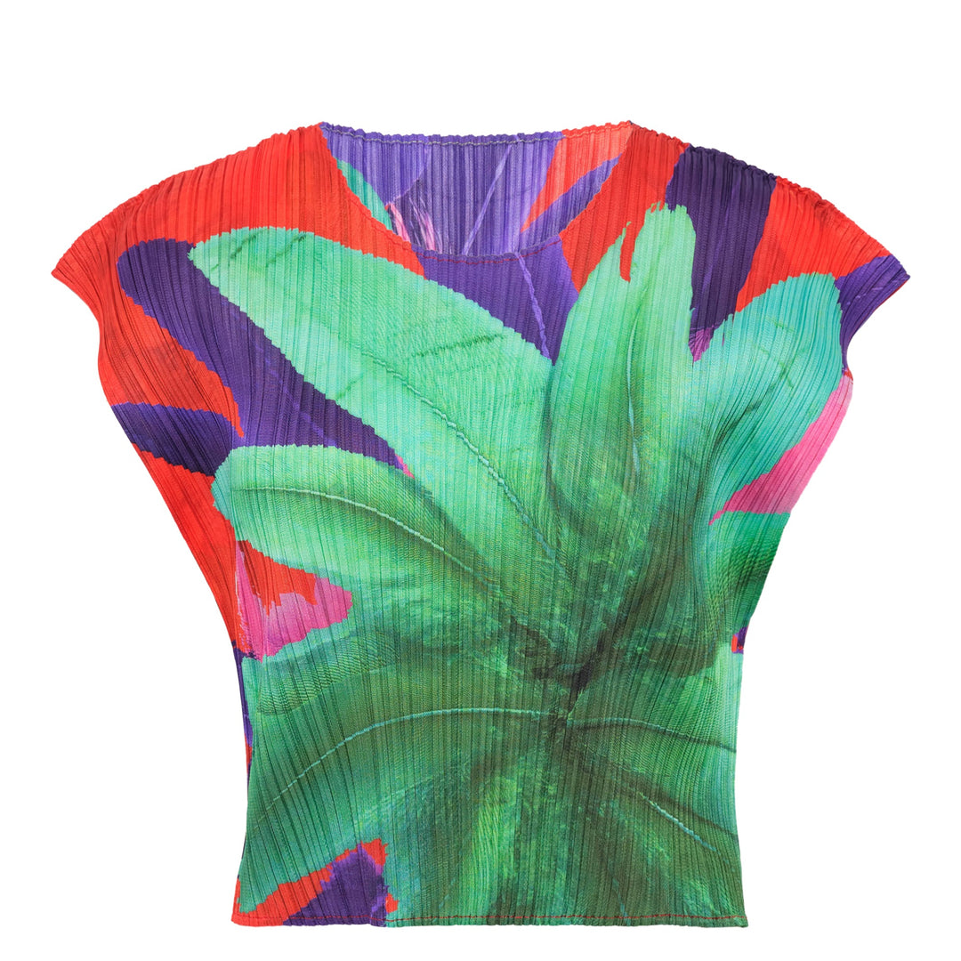 Carnival Crop Top