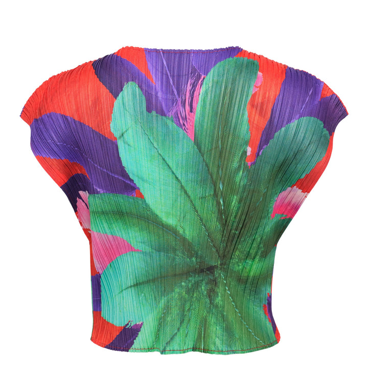Carnival Crop Top