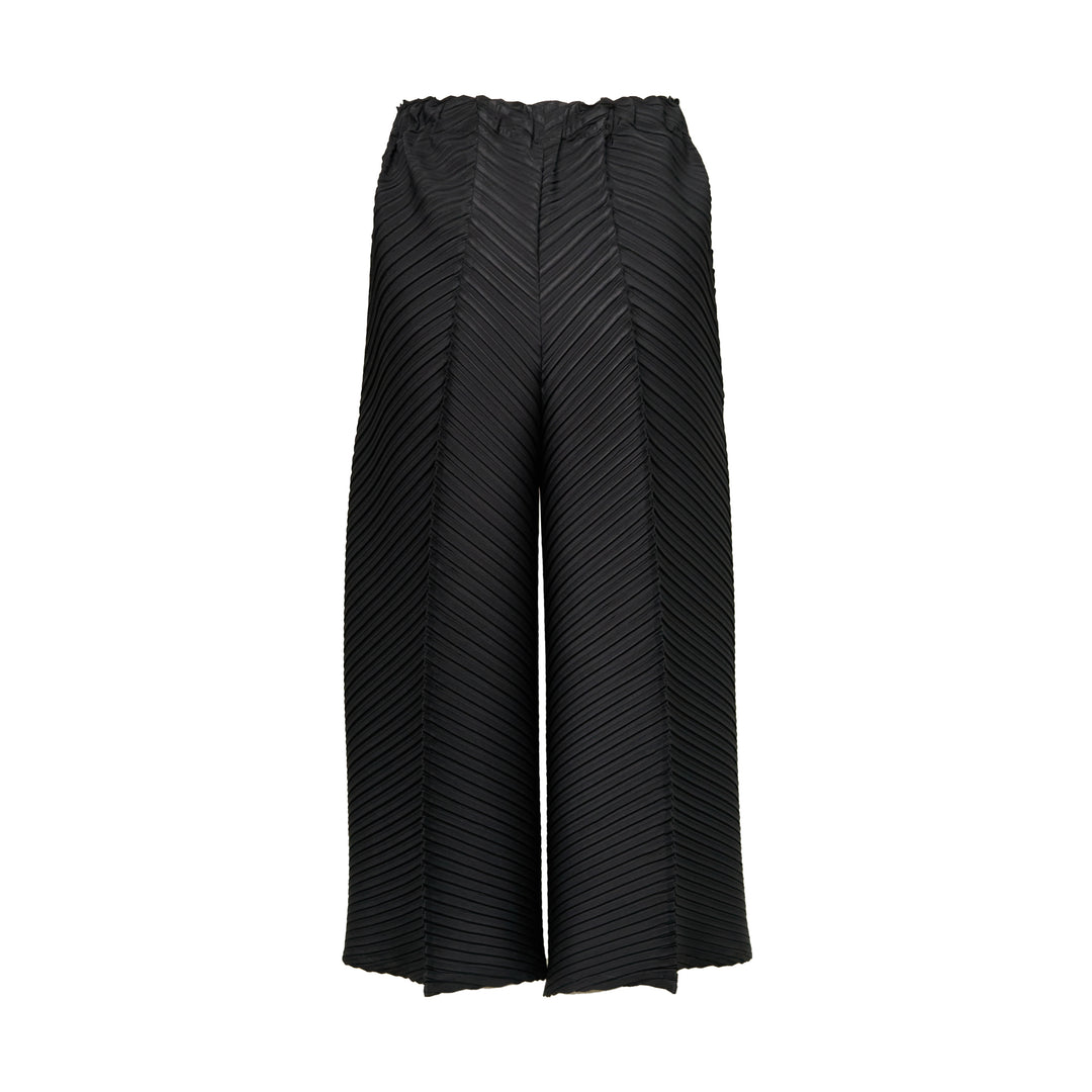 Plaster Pleats Solid Pants