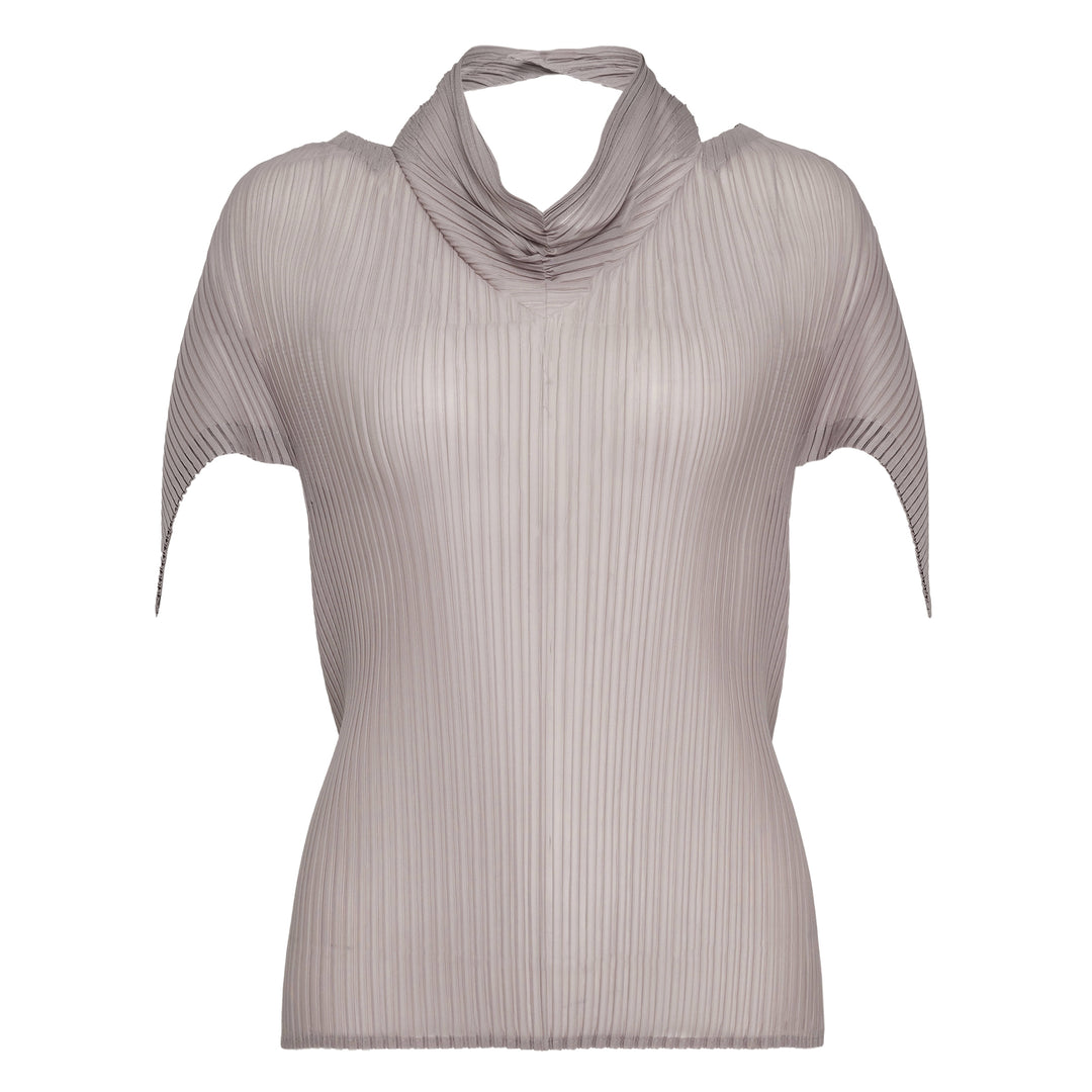 Sheer Scarf Pleated Top