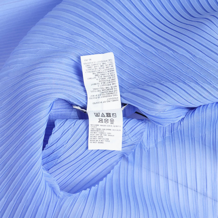 Sheer Scarf Pleated Top