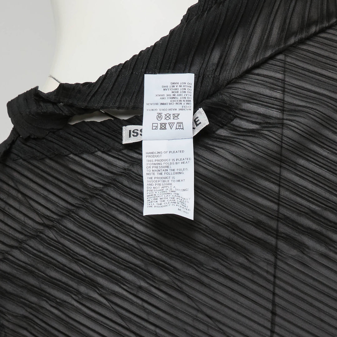 Sheer Pleated Scarf