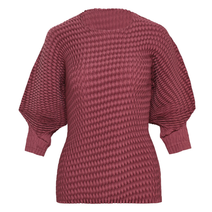 Sleek Pleats