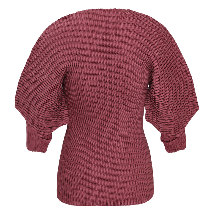 Sleek Pleats
