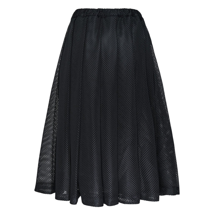 Mesh Pleated Skirt