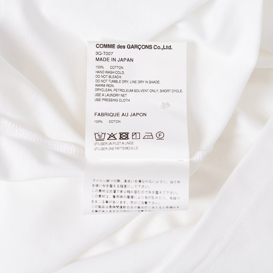 Cotton Ponte Polo