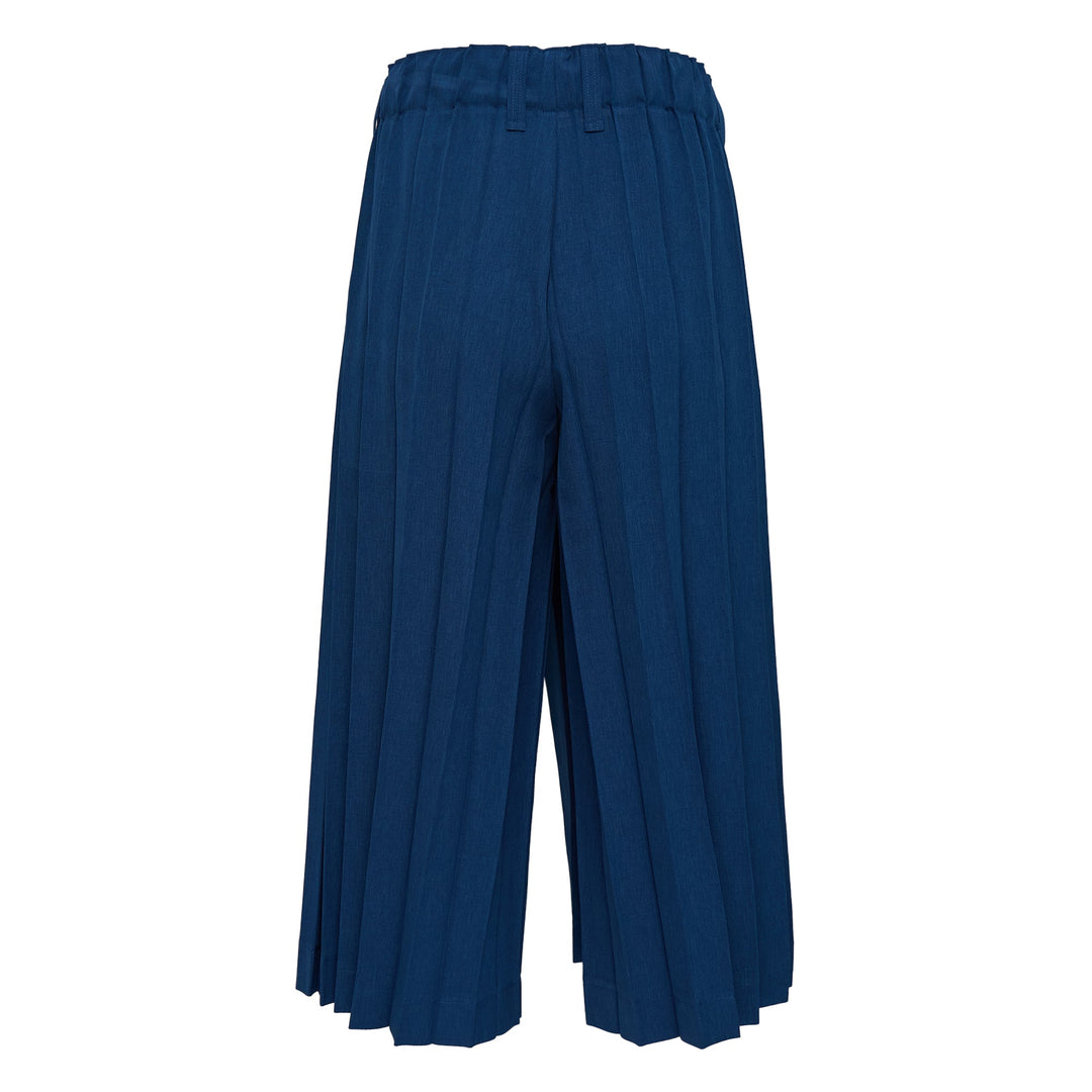 Pleated Pants