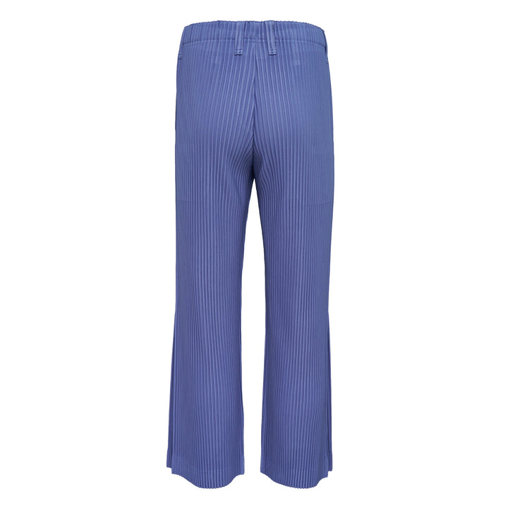 Tailored Pleated Pants