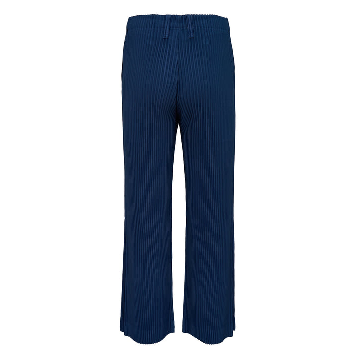 Tailored Pleated Pants