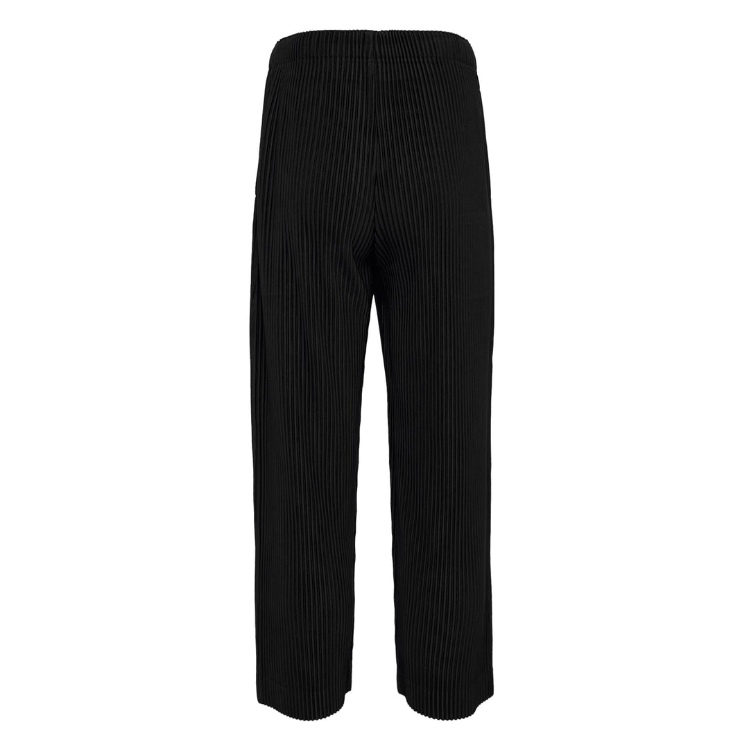Pleated Pants