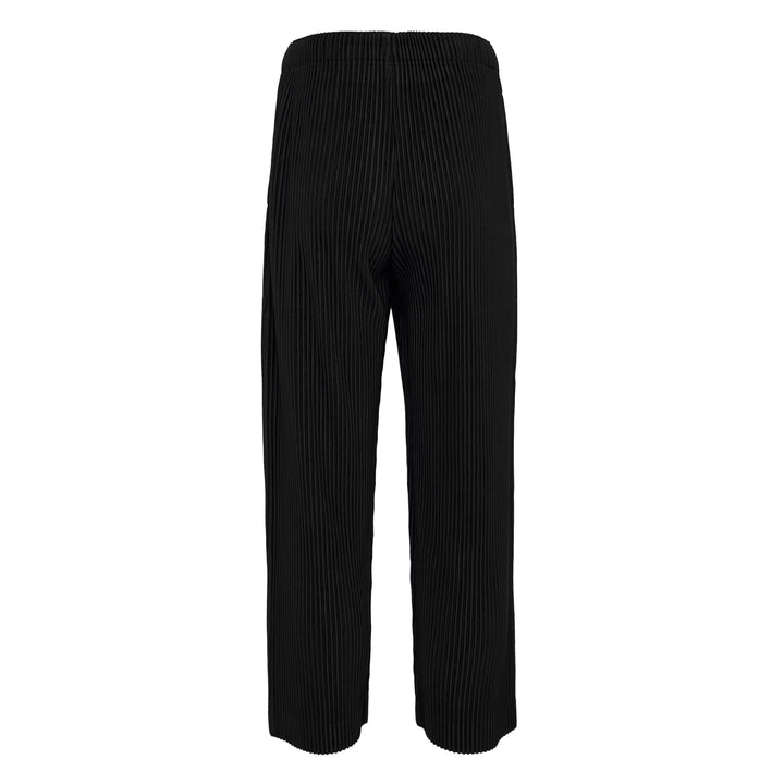 Pleated Pants
