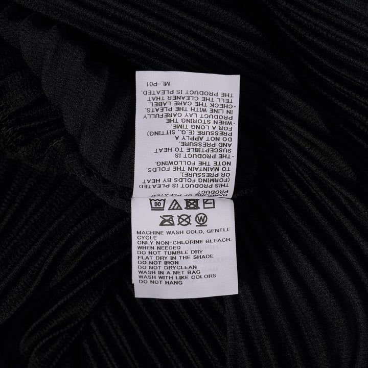 Pleated Pants