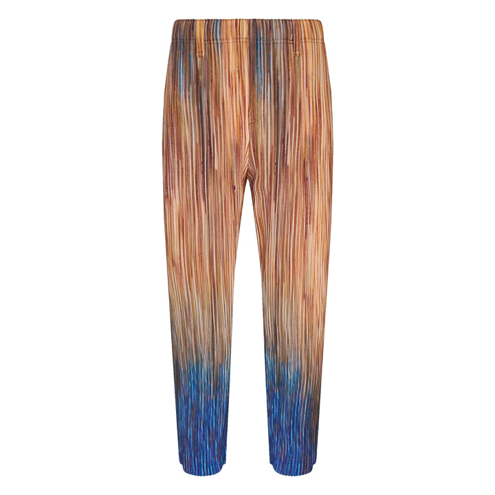 Paint Brush Close-Up Pleated Pants