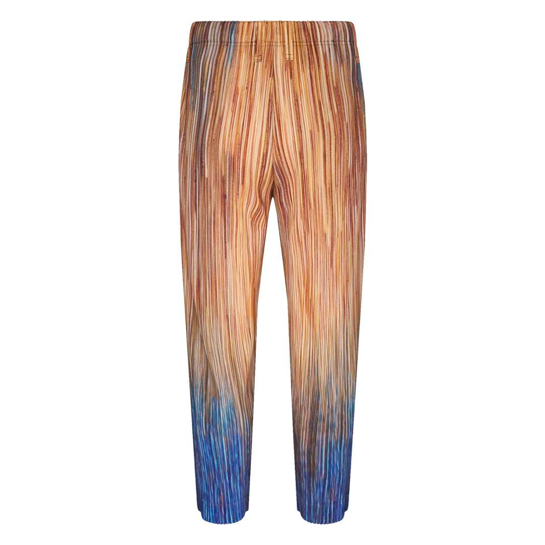 Paint Brush Close-Up Pleated Pants