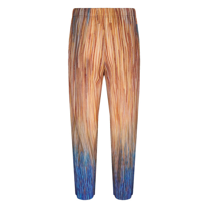 Paint Brush Close-Up Pleated Pants