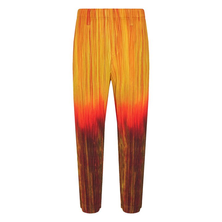 Paint Brush Close-Up Pleated Pants