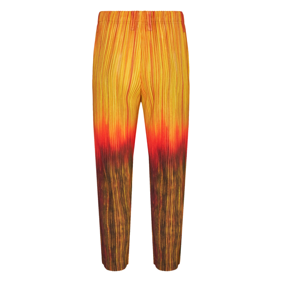 Paint Brush Close-Up Pleated Pants