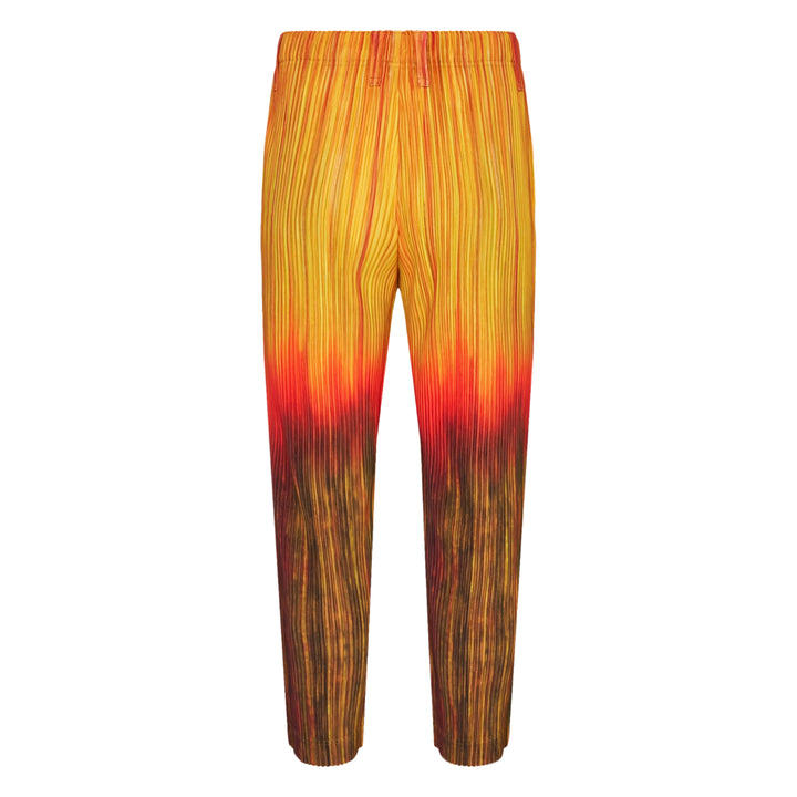 Paint Brush Close-Up Pleated Pants