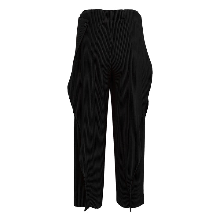 Pleated Pants