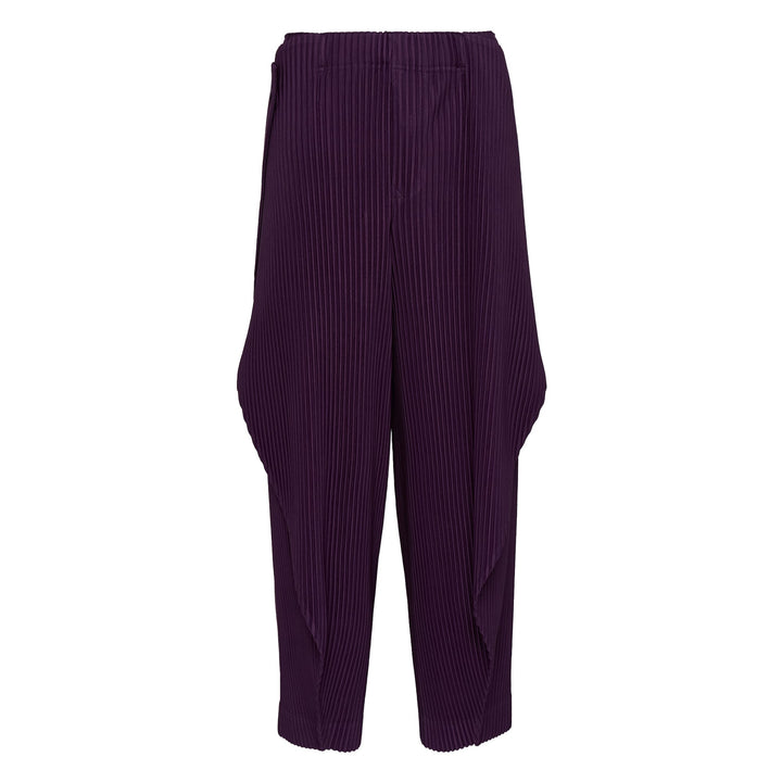 Pleated Pants
