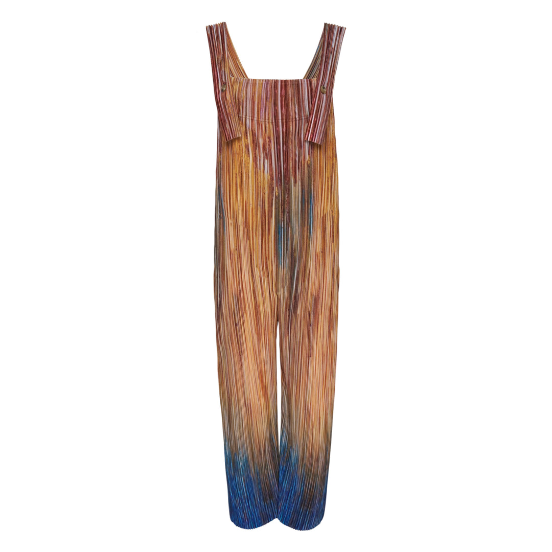 Paint Brush Close-Up Pleated Jumpsuit